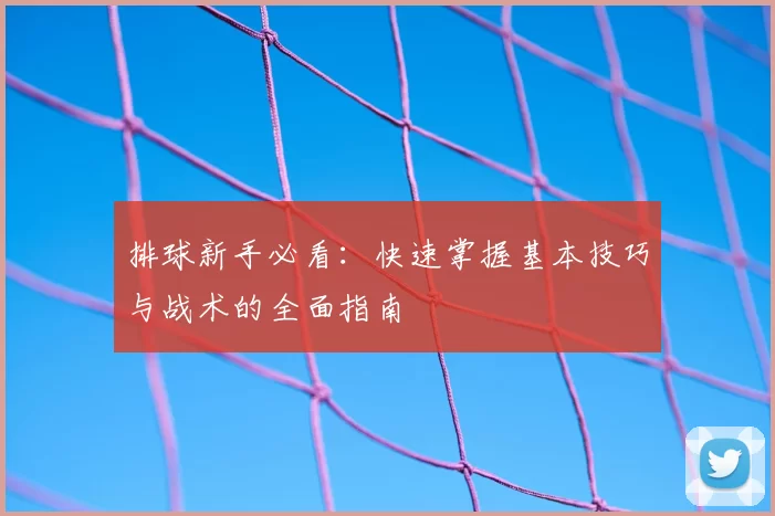 排球新手必看:快速掌握基本技巧与战术的全面指南