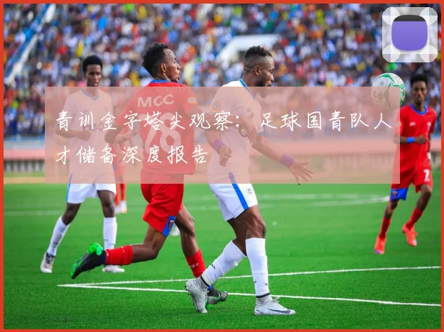 青训金字塔尖观察：足球国青队人才储备深度报告