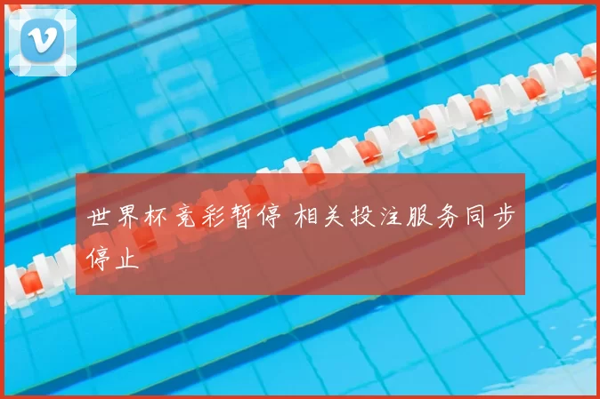 世界杯竞彩暂停 相关投注服务同步停止