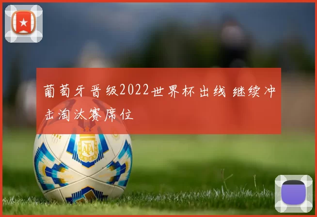 葡萄牙晋级2022世界杯出线 继续冲击淘汰赛席位