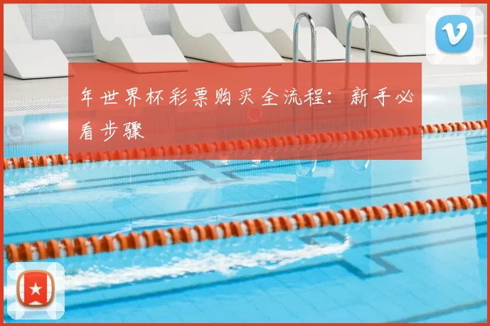 年世界杯彩票购买全流程:新手必看步骤