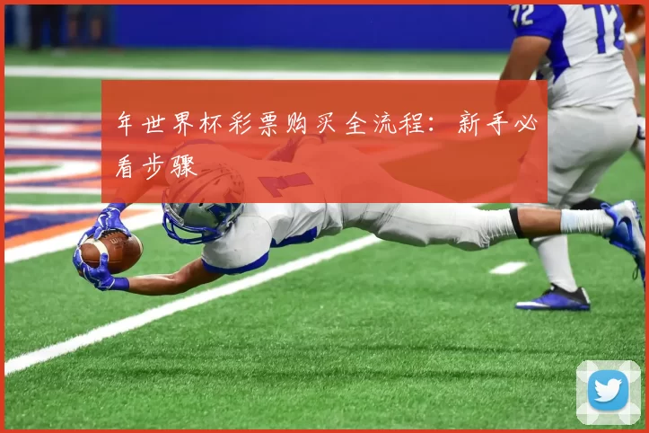 年世界杯彩票购买全流程:新手必看步骤