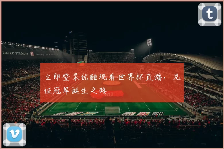立即登录优酷观看世界杯直播,见证冠军诞生之路