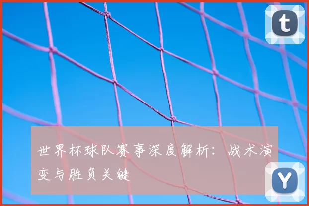 世界杯球队赛事深度解析：战术演变与胜负关键