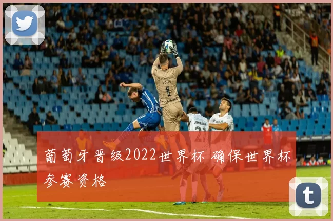葡萄牙晋级2022世界杯 确保世界杯参赛资格