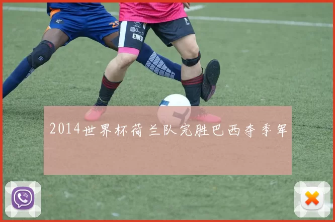 2014世界杯荷兰队完胜巴西夺季军