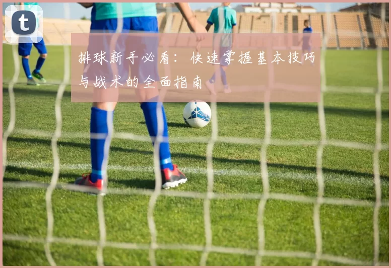排球新手必看:快速掌握基本技巧与战术的全面指南