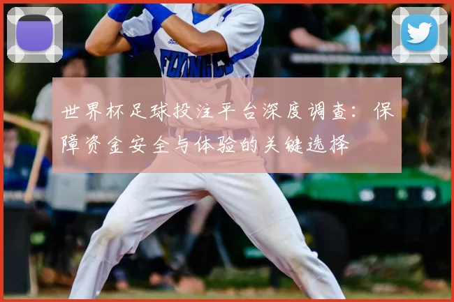 世界杯足球投注平台深度调查:保障资金安全与体验的关键选择