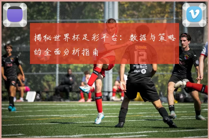 揭秘世界杯足彩平台:数据与策略的全面分析指南